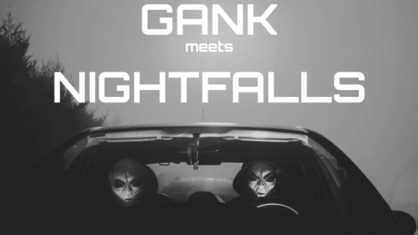 picture of Feest! Gank meets Nightfalls 16 mrt