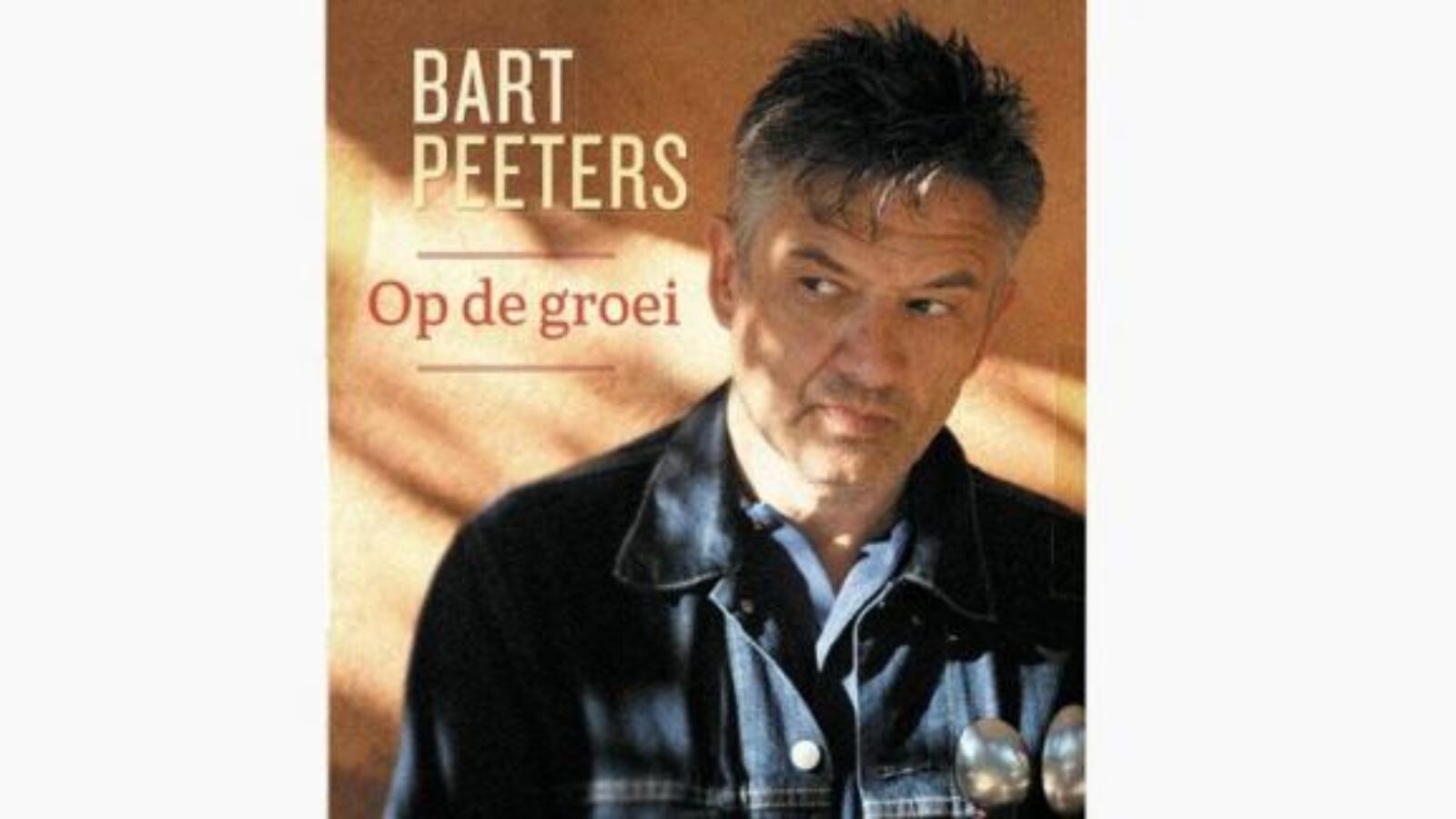 picture of Interview Bart Peeters